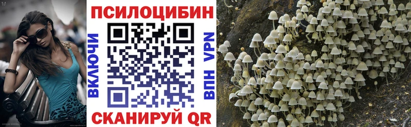Галлюциногенные грибы MAGIC MUSHROOMS Борисоглебск