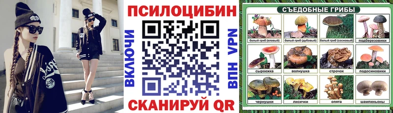 цена наркотик Борисоглебск blacksprut онион Галлюциногенные грибы MAGIC MUSHROOMS